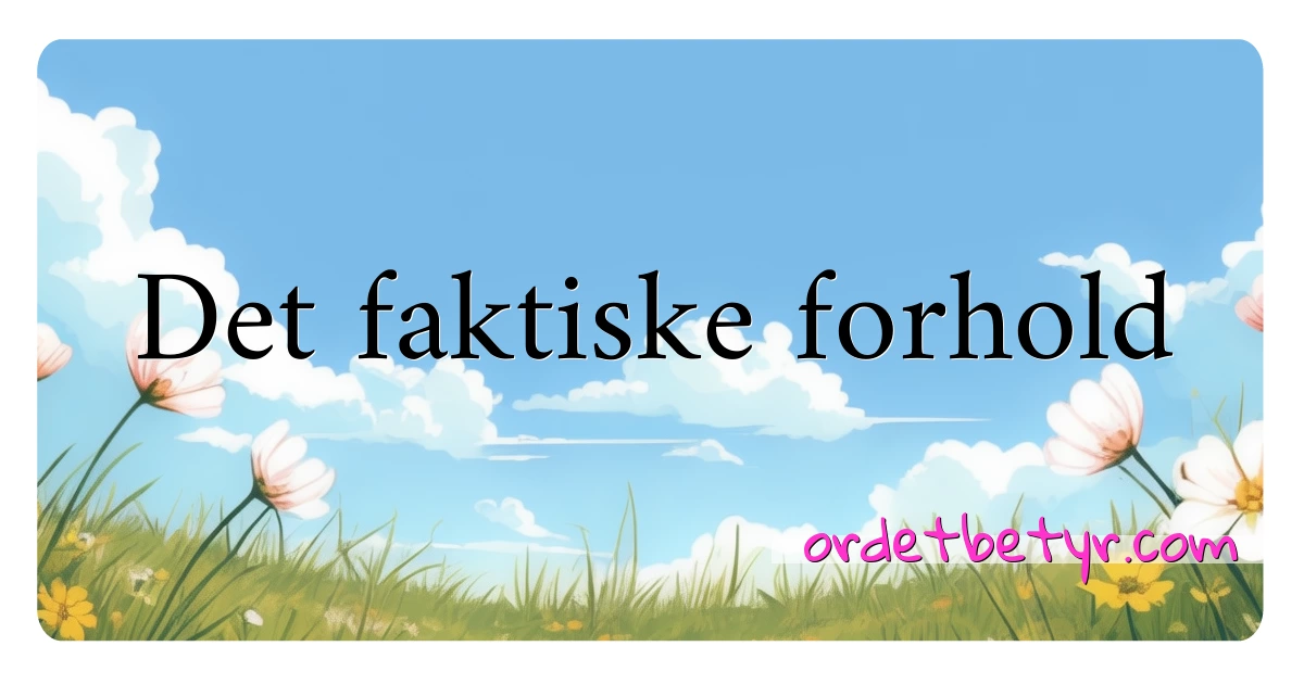 Det faktiske forhold synonymer kryssord betyr forklaring og bruk