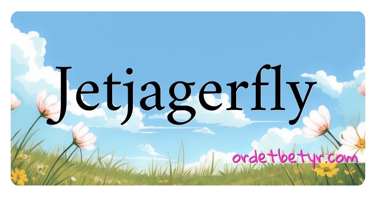 Jetjagerfly synonymer kryssord betyr forklaring og bruk