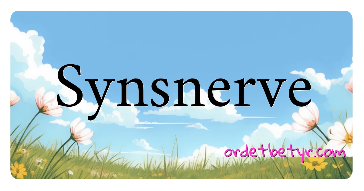 Synsnerve synonymer kryssord betyr forklaring og bruk