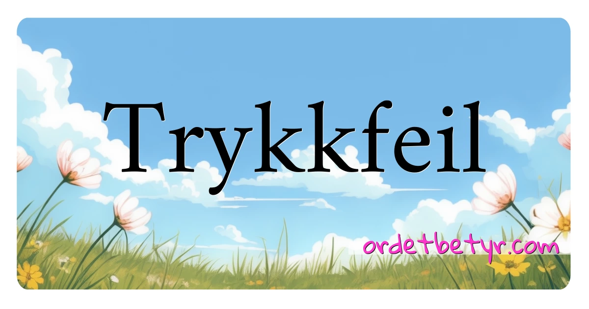 Trykkfeil synonymer kryssord betyr forklaring og bruk