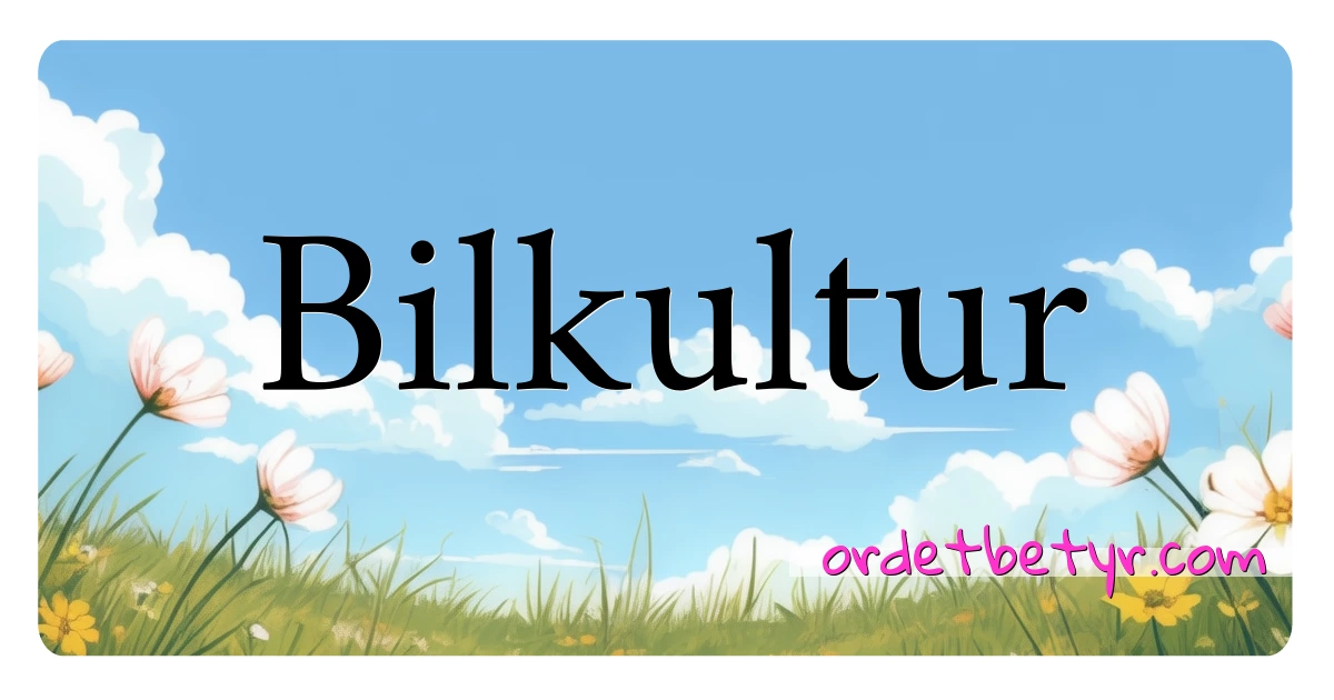 Bilkultur synonymer kryssord betyr forklaring og bruk