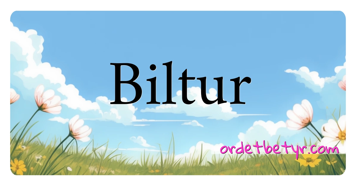 Biltur synonymer kryssord betyr forklaring og bruk